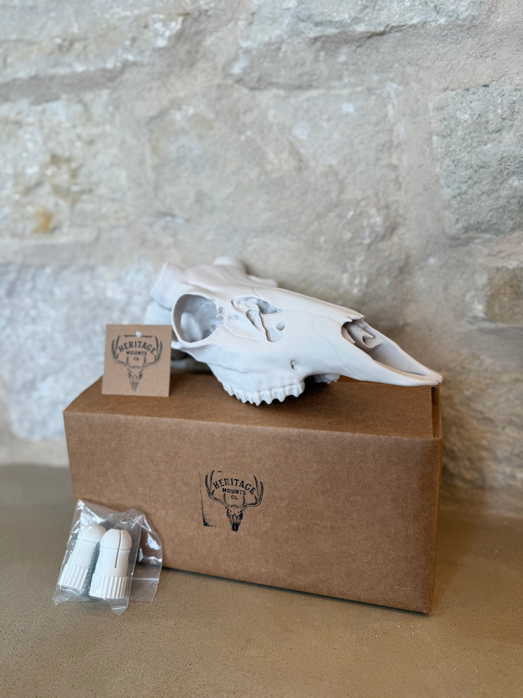 Whitetail Deer Skull Kit
